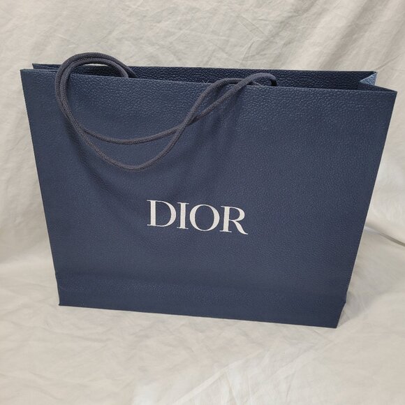 Dior Blue Textured Gift Bag Empty Logo Spell Out Bug Reusable Decorative Craft - Picture 3 of 15
